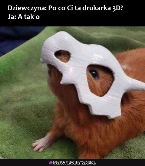 Najlepszy pomysł