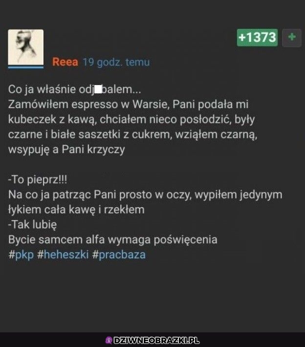 Tak postępują prawdziwe samce