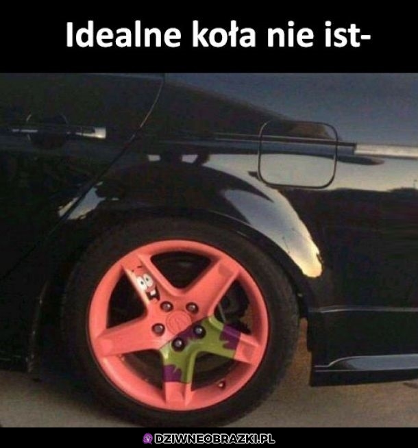 Idealne koło