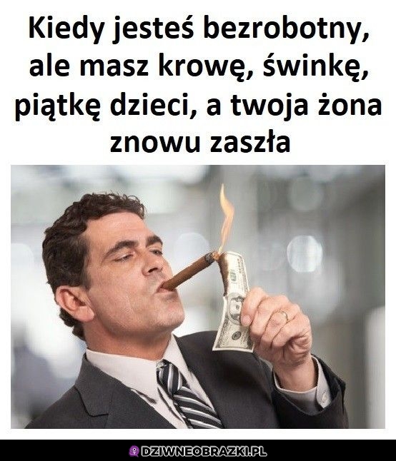 Bogactwo