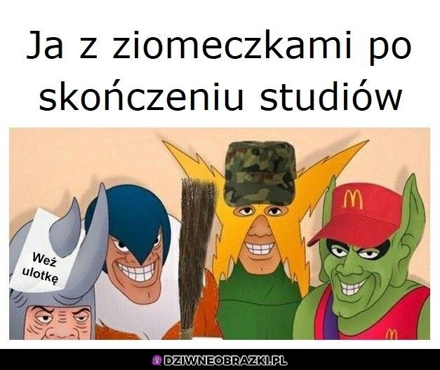 Po skończeniu studiów