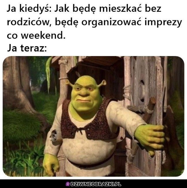 Wypad z mojego bagna