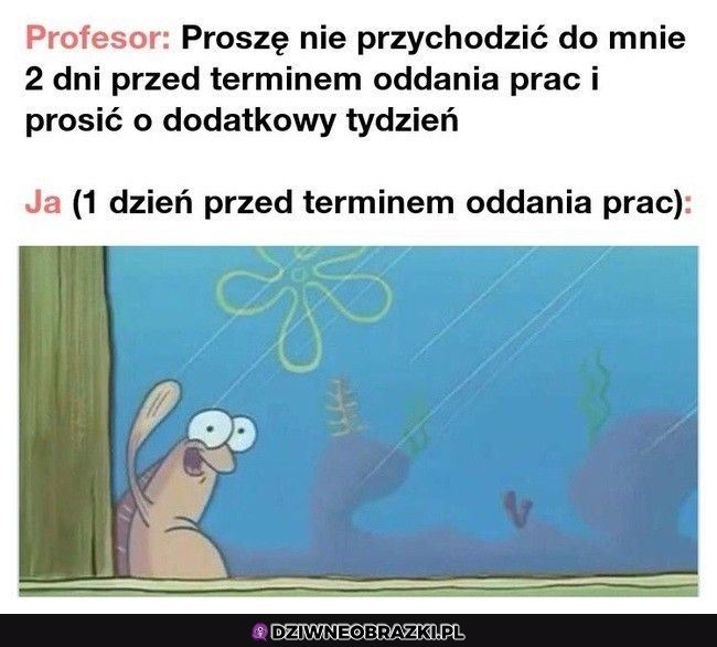 No hejka