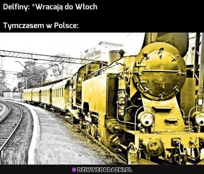 Wielkie powroty