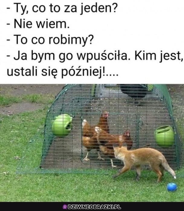 To co, wpuszczamy?