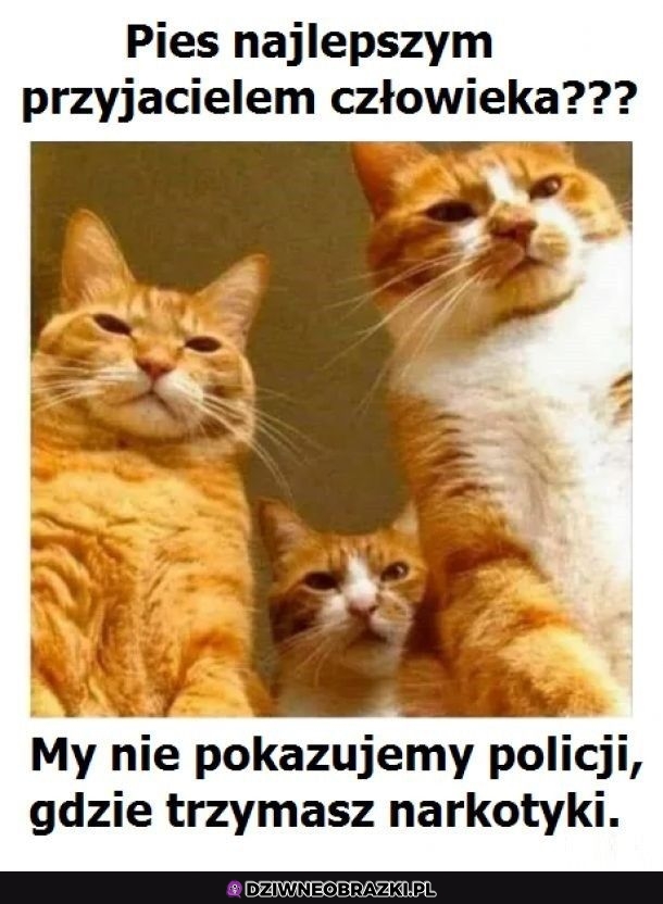To jest poważny argument