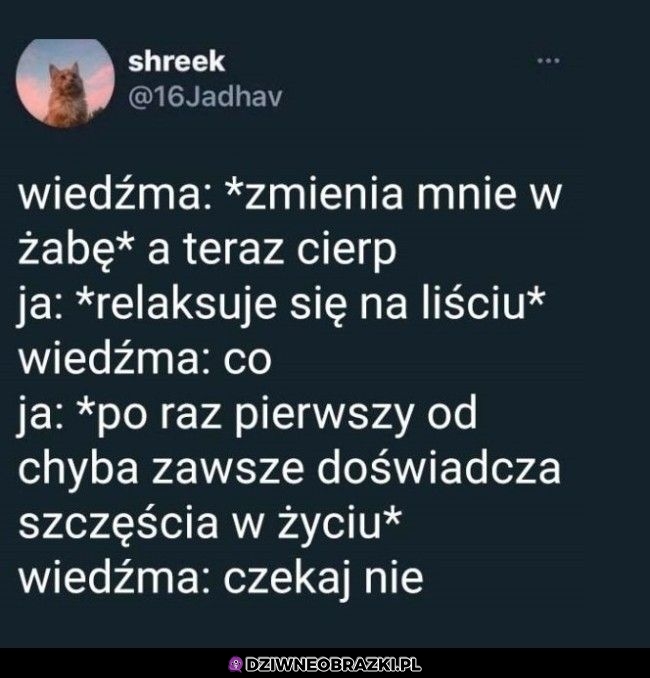 Tak by było