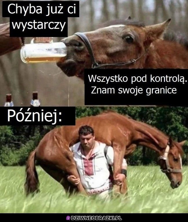 Zawsze tak się kończy