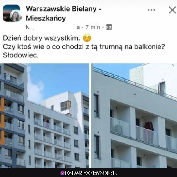 Co tam się odjaniepawla