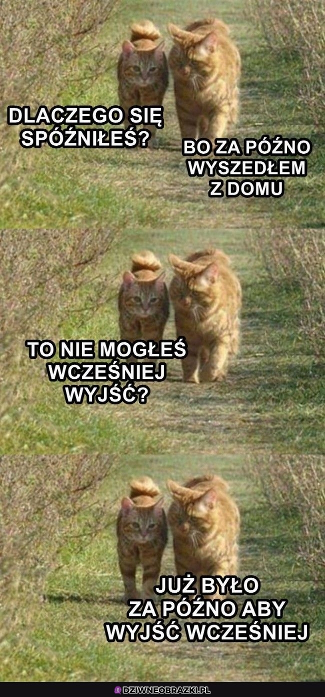 Tak było