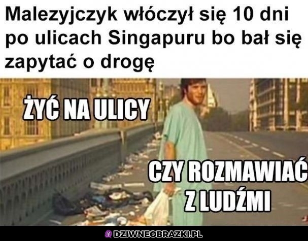 Trochę go rozumiem