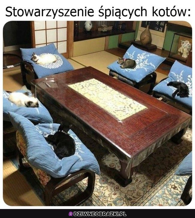 Chcę dołączyć