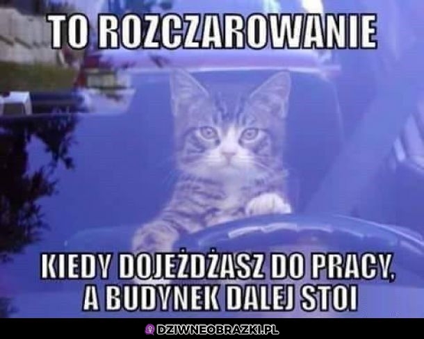 To rozczarowanie