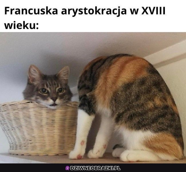 Tak było