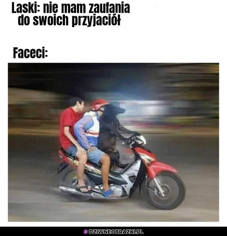 Laski vs Faceci