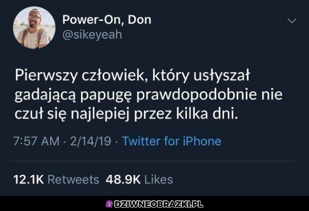 Tak musiało być