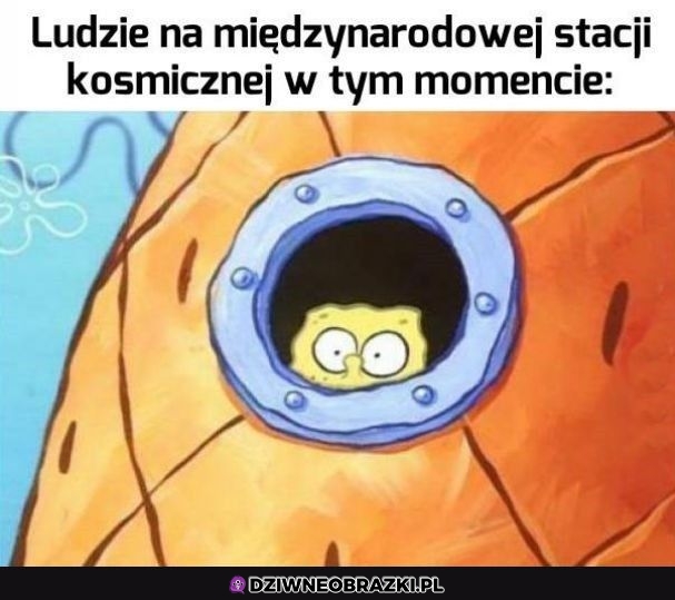 Chyba nie chcą wracać