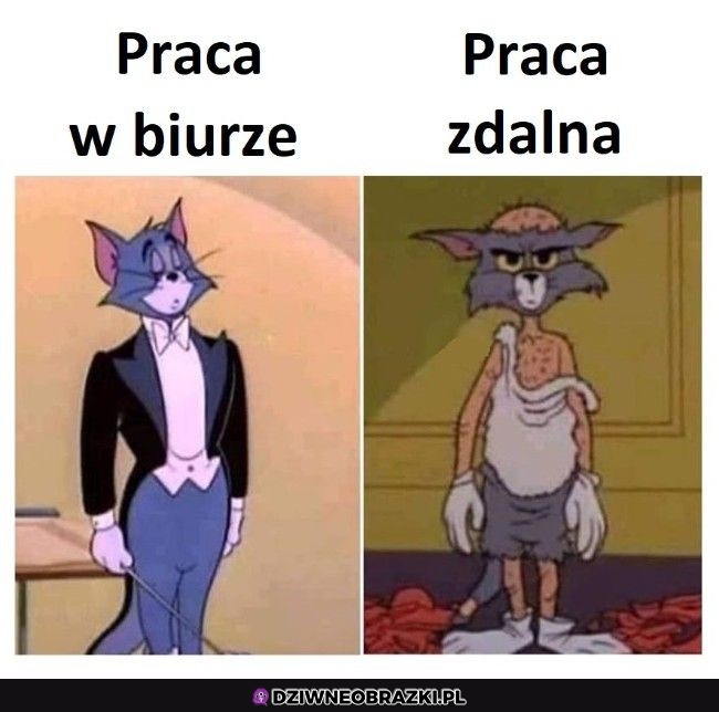 Praca zdalna taka jest