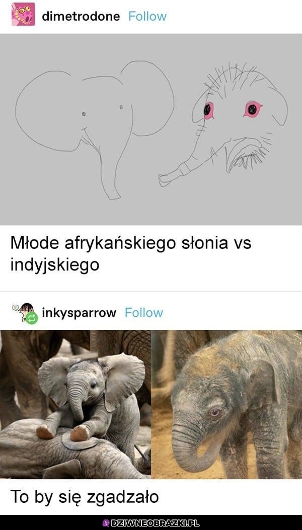 Wszystko się zgadza