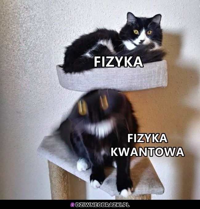 Fizyka taka jest