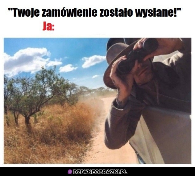 Wypatruję