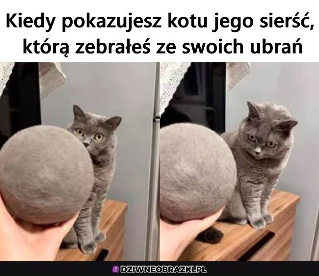 Aż tyle?