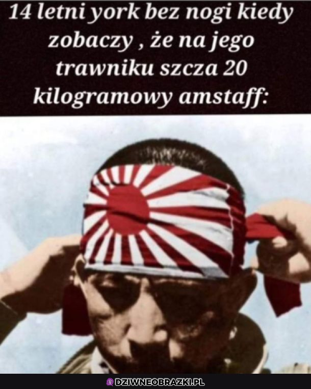 Kamikadze! 