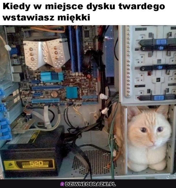 Nowy dysk