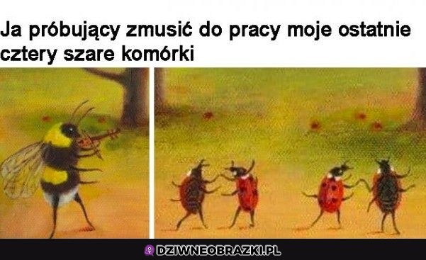 To o nich