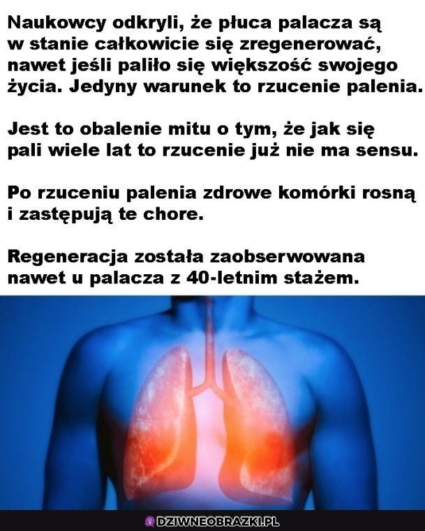 Warto rzucić fajeczki