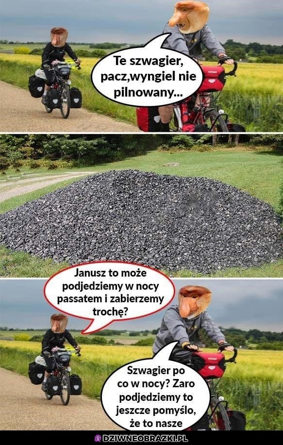 Wyngiel
