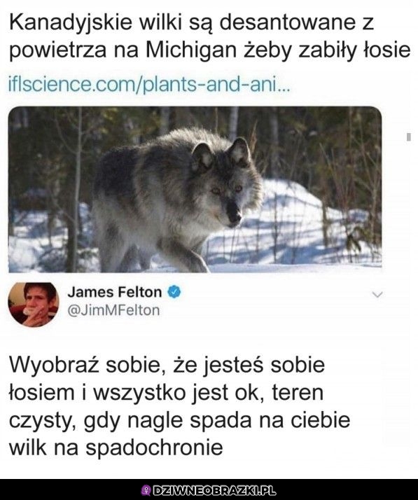 Co to za pokręcona akcja