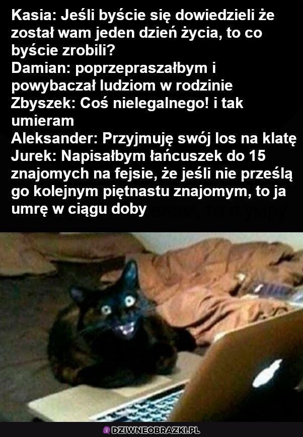 Co byście zrobili?