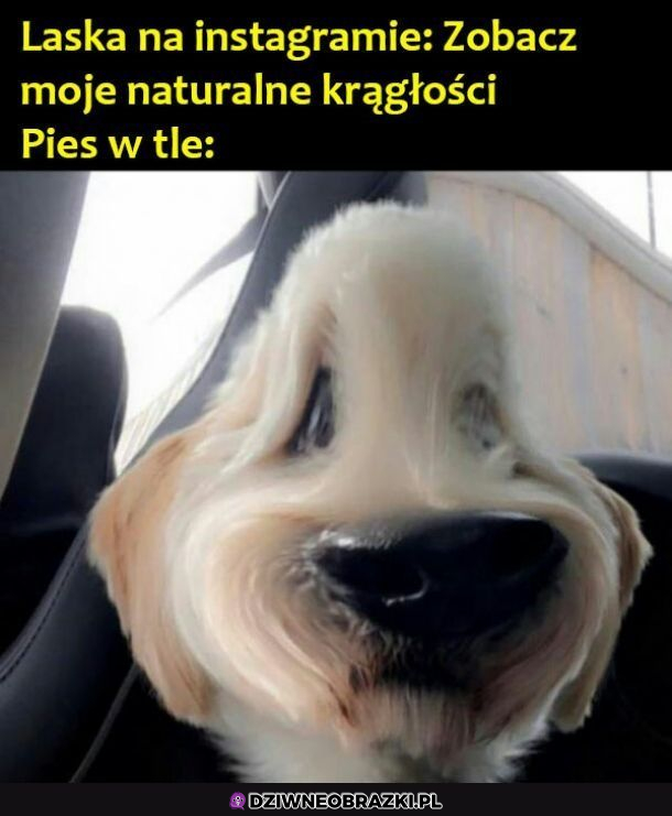 Naturalne krągłości