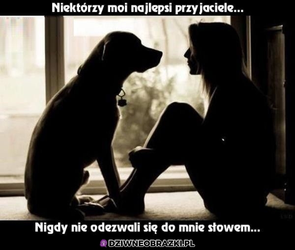 I dobrze