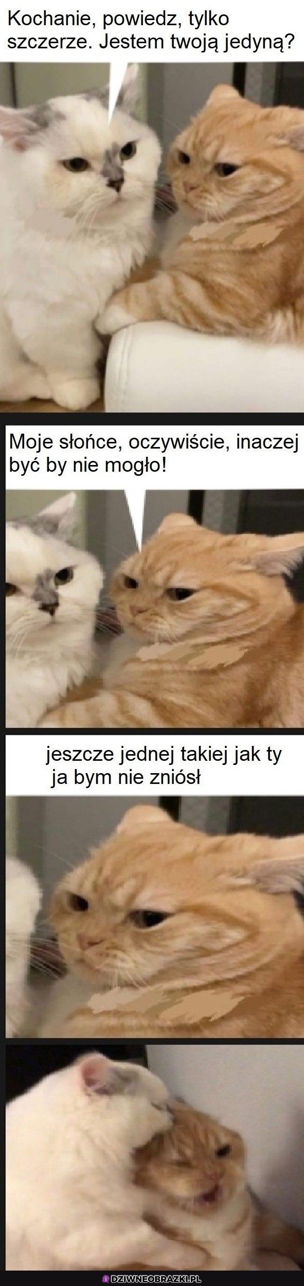 Ten moment