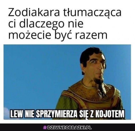 Ten moment