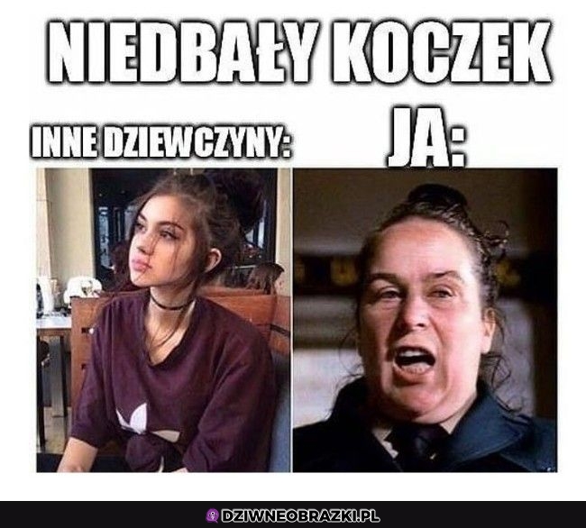 Niedbały koczek