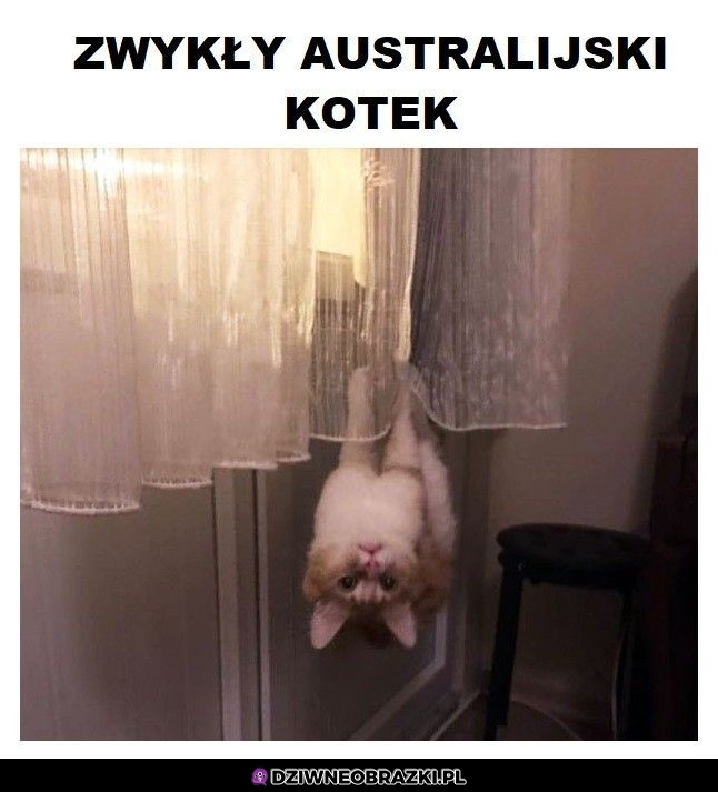 Normalka