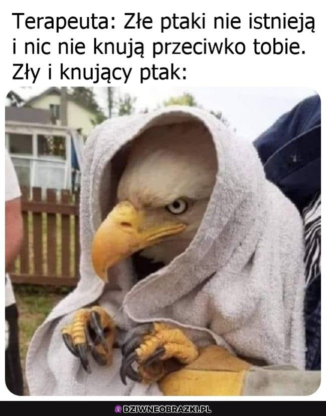 Akurat nie istnieją