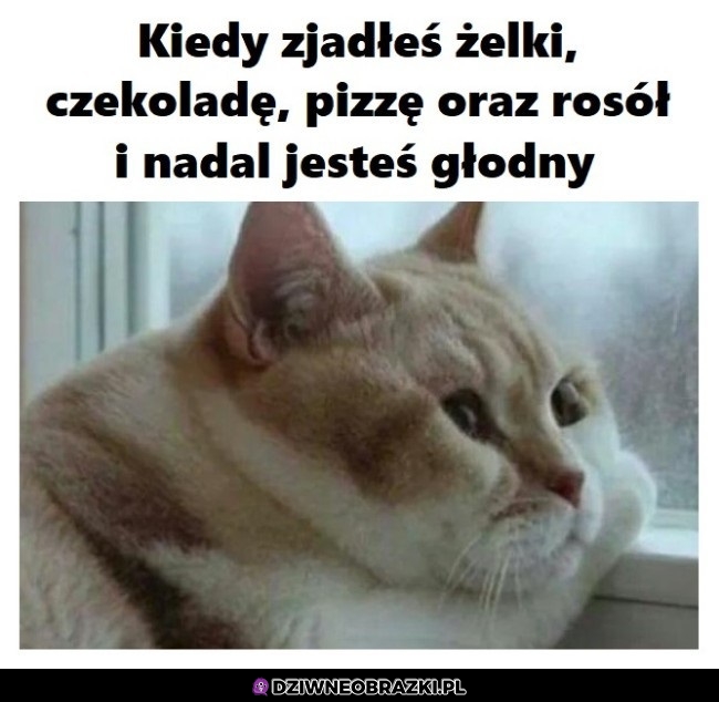 Co by tu jeszcze jeść