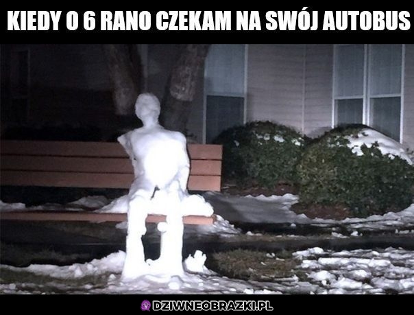 Poranki takie teraz są