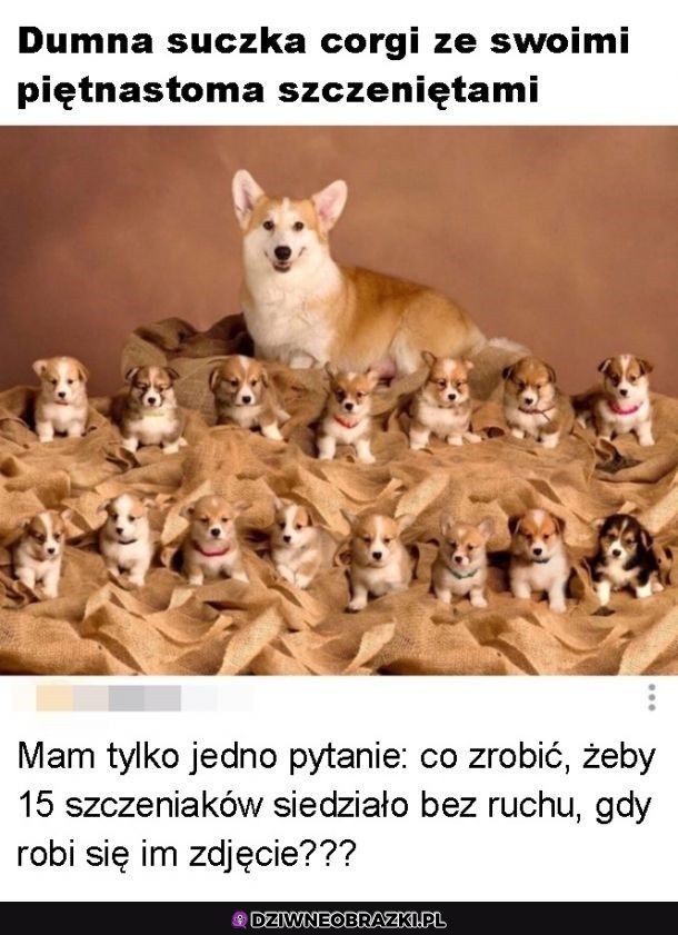 Jak?