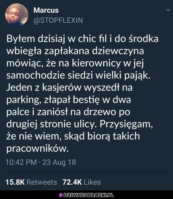 Pracownik miesiąca jak nic