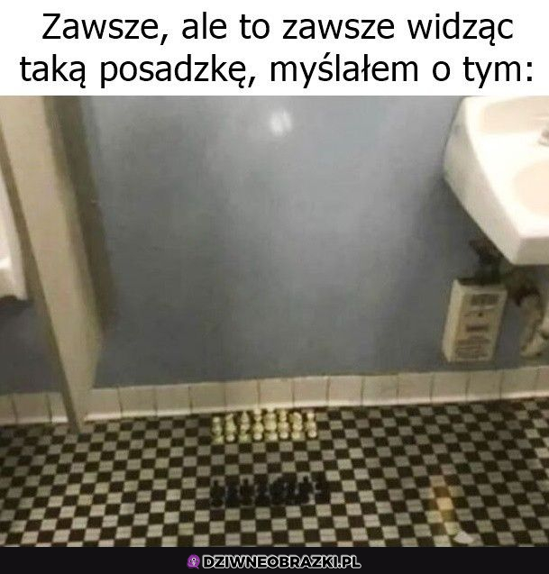 Kiedy nudzi Ci się na kiblu