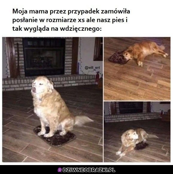 I tak zadowolony