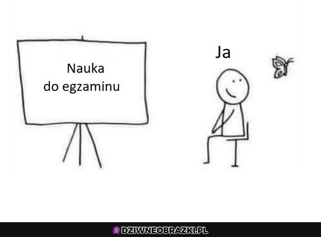 O, motylek