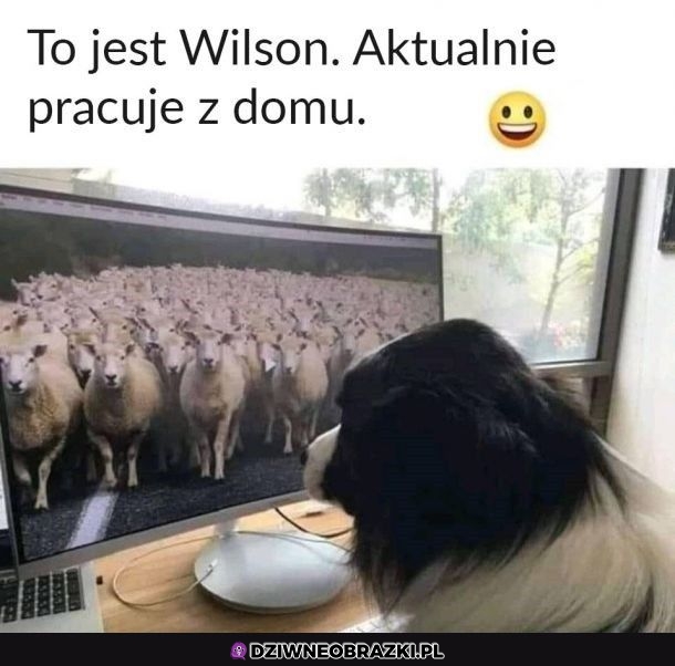 Pracownik miesiąca