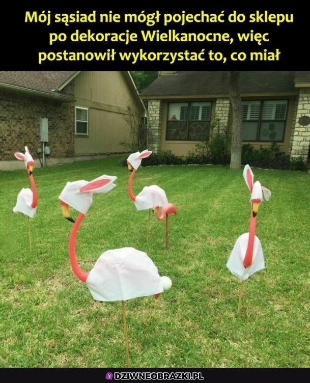 Robię tak za rok