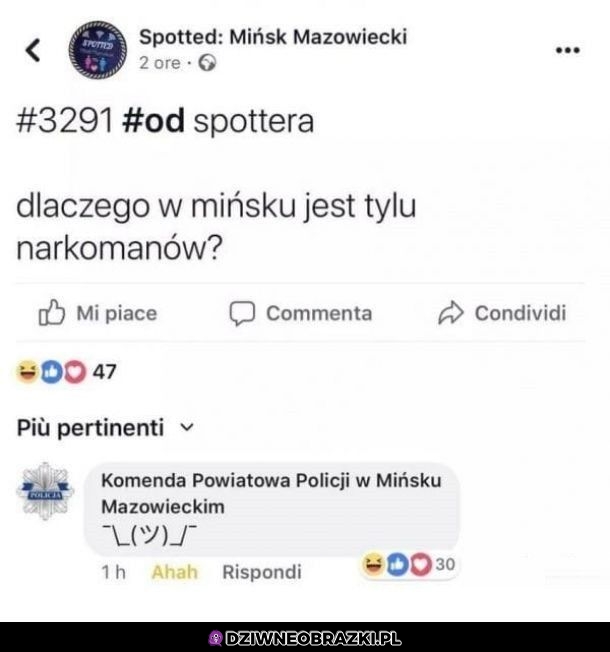 Pytanie